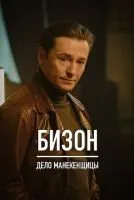 Бизон Дело манекенщицы 1-14 серии смотреть онлайн лордфильм